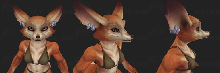 snout 4.jpg